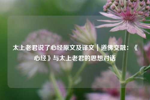 太上老君说了心经原文及译文|道佛交融:《心经》与太上老君的思想对话