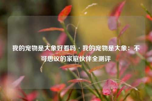 我的宠物是大象好看吗·我的宠物是大象:不可思议的家庭伙伴全测评