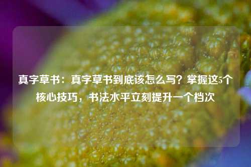 真字草书:真字草书到底该怎么写?掌握这5个核心技巧,书法水平立刻提升一个档次