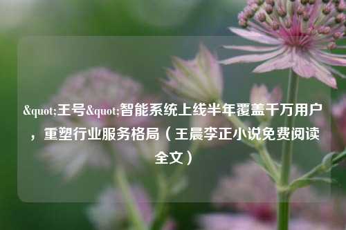 "王号"智能系统上线半年覆盖千万用户,重塑行业服务格局(王晨李正小说免费阅读全文)
