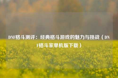 DNF格斗测评:经典格斗游戏的魅力与挑战(DNF格斗家单机版下载)